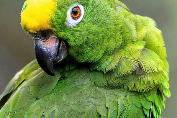 Modern UK warehouse facility with pallets and cross docking 