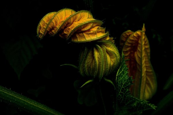 Warehouse worker efficiently picking items from shelves for 