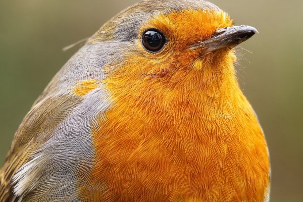 Small cosmetics products arranged for B2C fulfilment and Woo